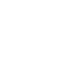 P MEDIA Logo