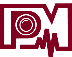 P MEDIA Logo