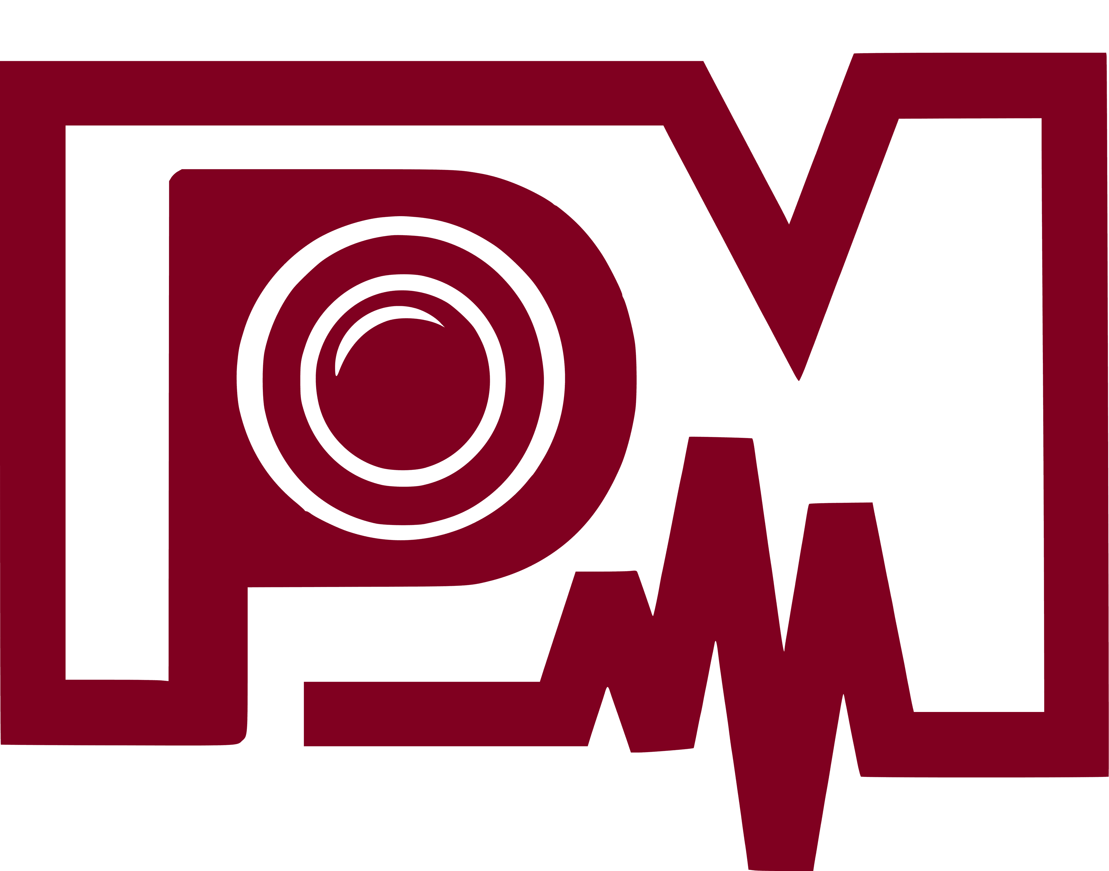 P MEDIA Logo